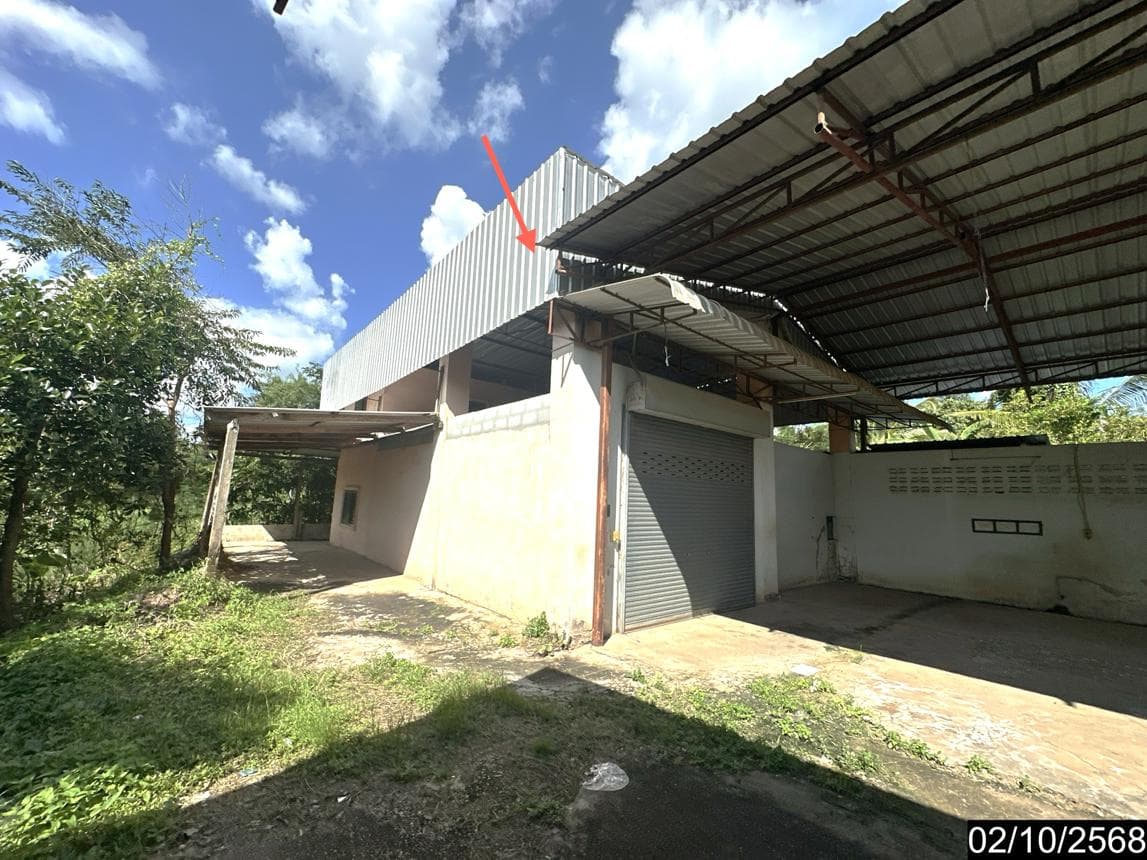 บ้านเดี่ยว 1 ห้องนอน พื้นที่ 202.75 ตร.ม. ทำเลศักยภาพ นาผือ เมืองอำนาจเจริญ อำนาจเจริญ