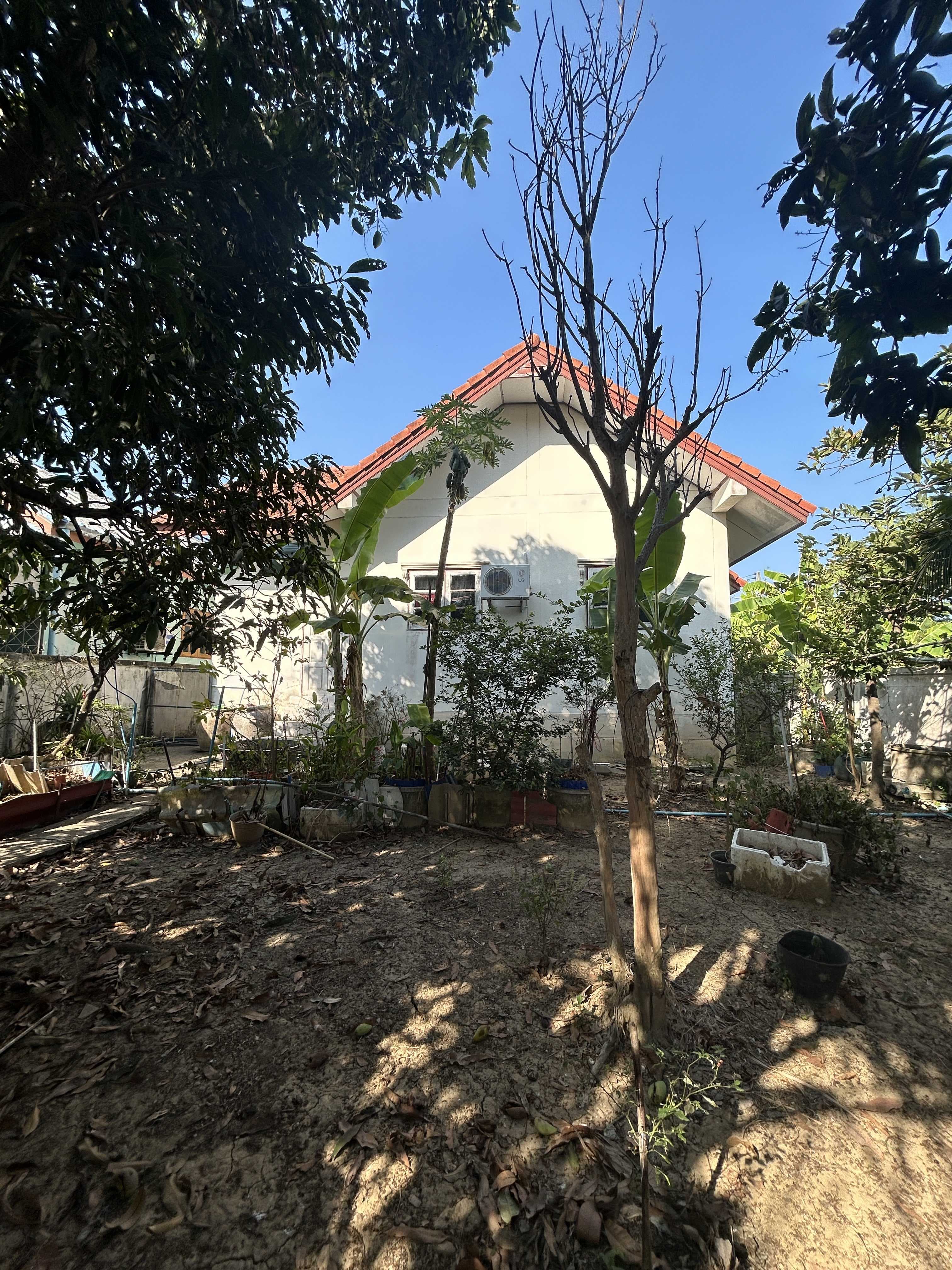 บ้านพร้อมที่ดิน