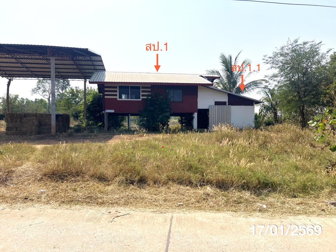 ขายบ้านเดี่ยว สามัคคี เลิงนกทา ยโสธร 2 ห้องนอน พื้นที่ใช้สอย 91 ตร.ม.