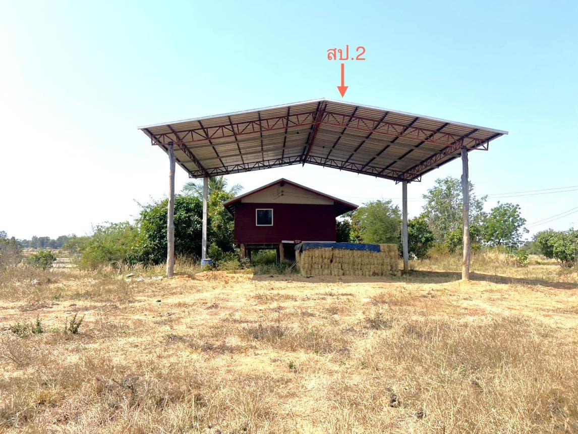 ขายบ้านเดี่ยว สามัคคี เลิงนกทา ยโสธร 2 ห้องนอน พื้นที่ใช้สอย 91 ตร.ม.