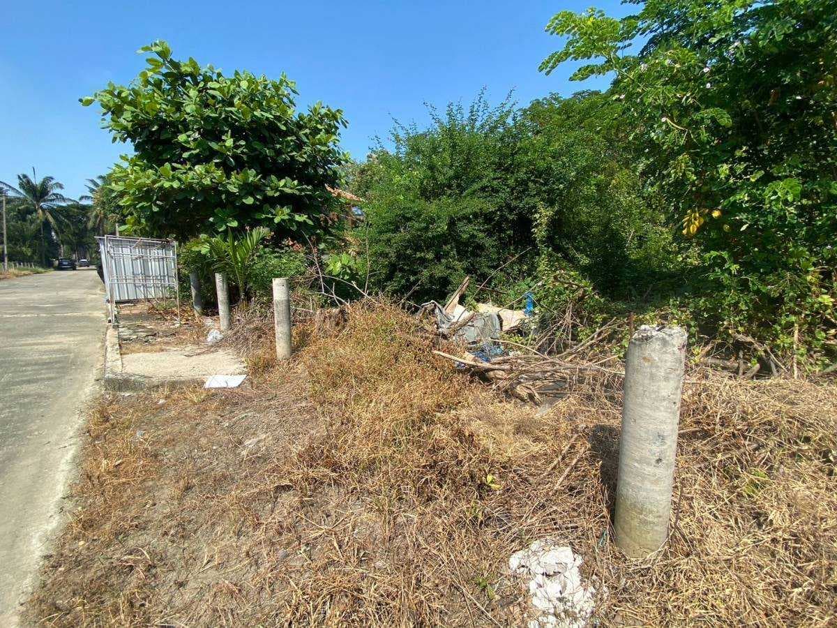 ขาย ที่ดิน พุทธมณฑลสาย 7 นครชัยศรี 1 งาน เหมาะสำหรับทำที่อยู่อาศัย