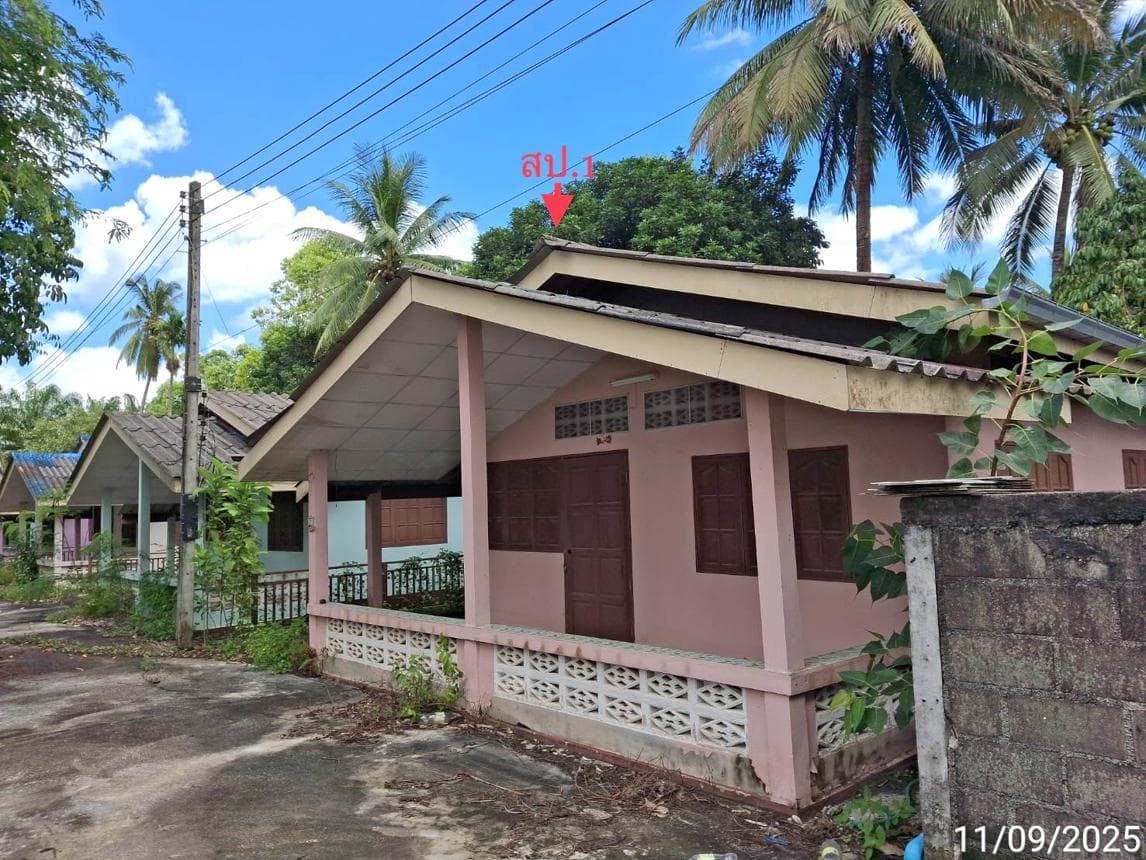 ขายบ้านเดี่ยว บ้านนาสาร สุราษฎร์ธานี ทำเลพรุพี เนื้อที่ 36 ตร.ว. พื้นที่ใช้สอย 60 ตร.ม. 2 ห้องนอน 1 ห้องน้ำ บรรยากาศดี มีความเป็นส่วนตัว