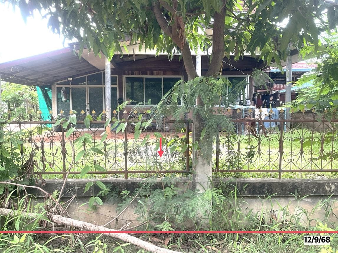 บ้านเดี่ยว ท่านางแนว แวงน้อย ขอนแก่น 1 ห้องนอน 1 ห้องน้ำ พื้นที่กว้างขวาง 196.5 ตร.ม. บนที่ดินขนาดใหญ่ 90 ตร.ว. ทำเลสงบเป็นส่วนตัว ราคาพิเศษ 7.8 แสน