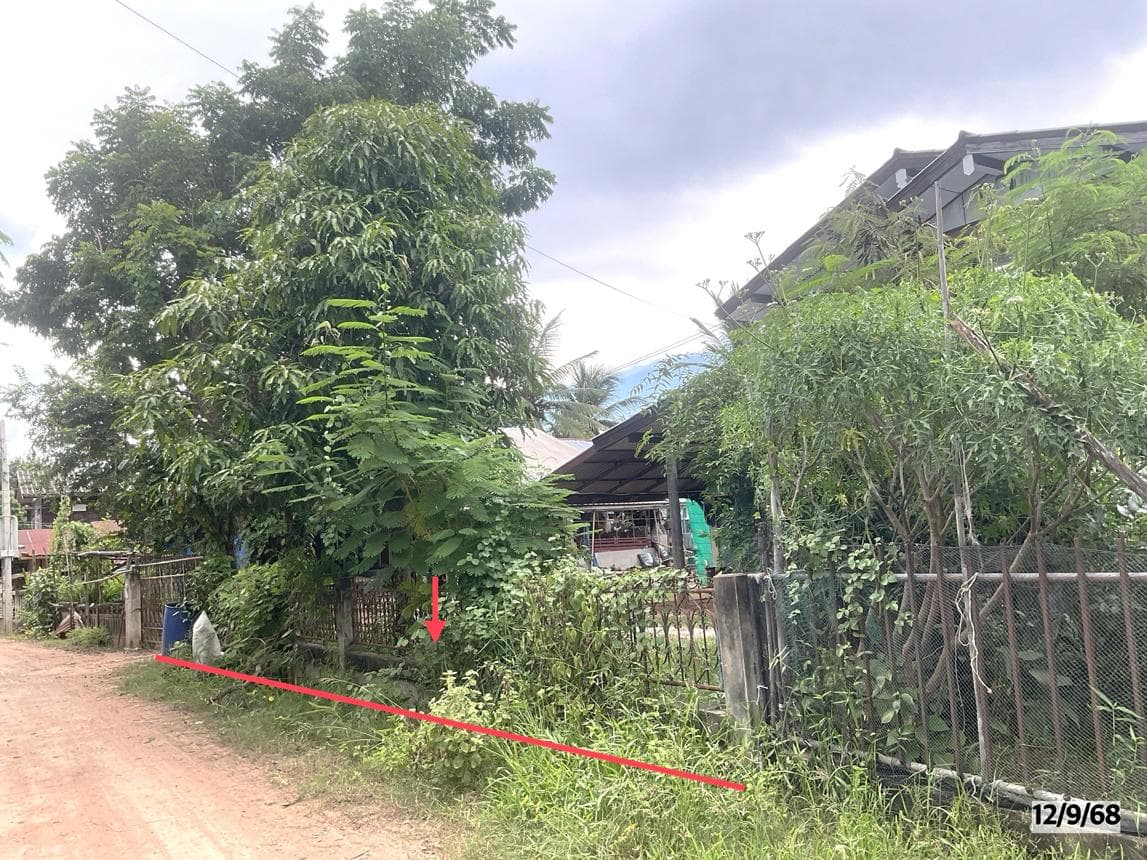 บ้านเดี่ยว ท่านางแนว แวงน้อย ขอนแก่น 1 ห้องนอน 1 ห้องน้ำ พื้นที่กว้างขวาง 196.5 ตร.ม. บนที่ดินขนาดใหญ่ 90 ตร.ว. ทำเลสงบเป็นส่วนตัว ราคาพิเศษ 7.8 แสน