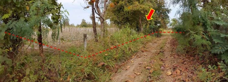 ที่ดินเปล่า เมืองหนองบัวลำภู หนองบัวลำภู