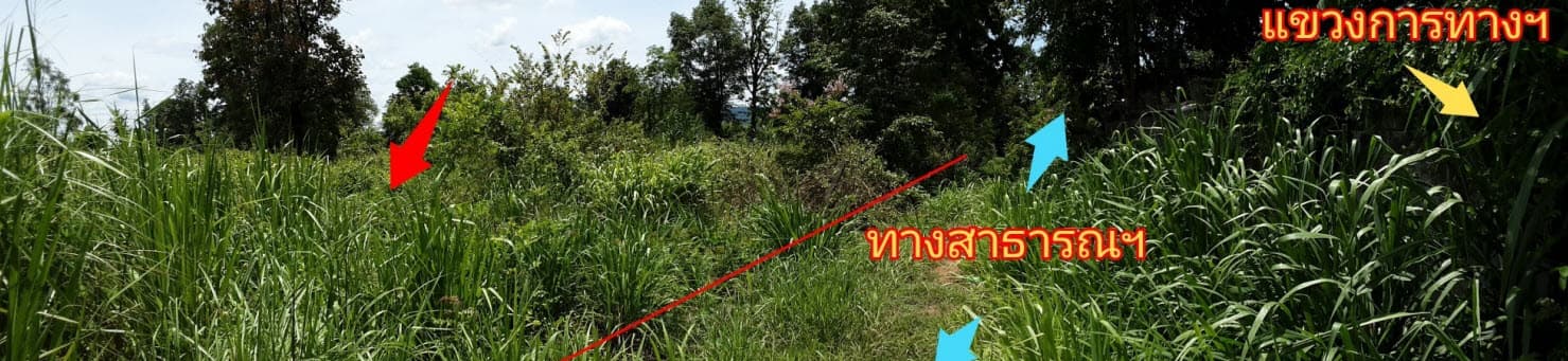 ที่ดินเปล่า เมืองหนองบัวลำภู หนองบัวลำภู
