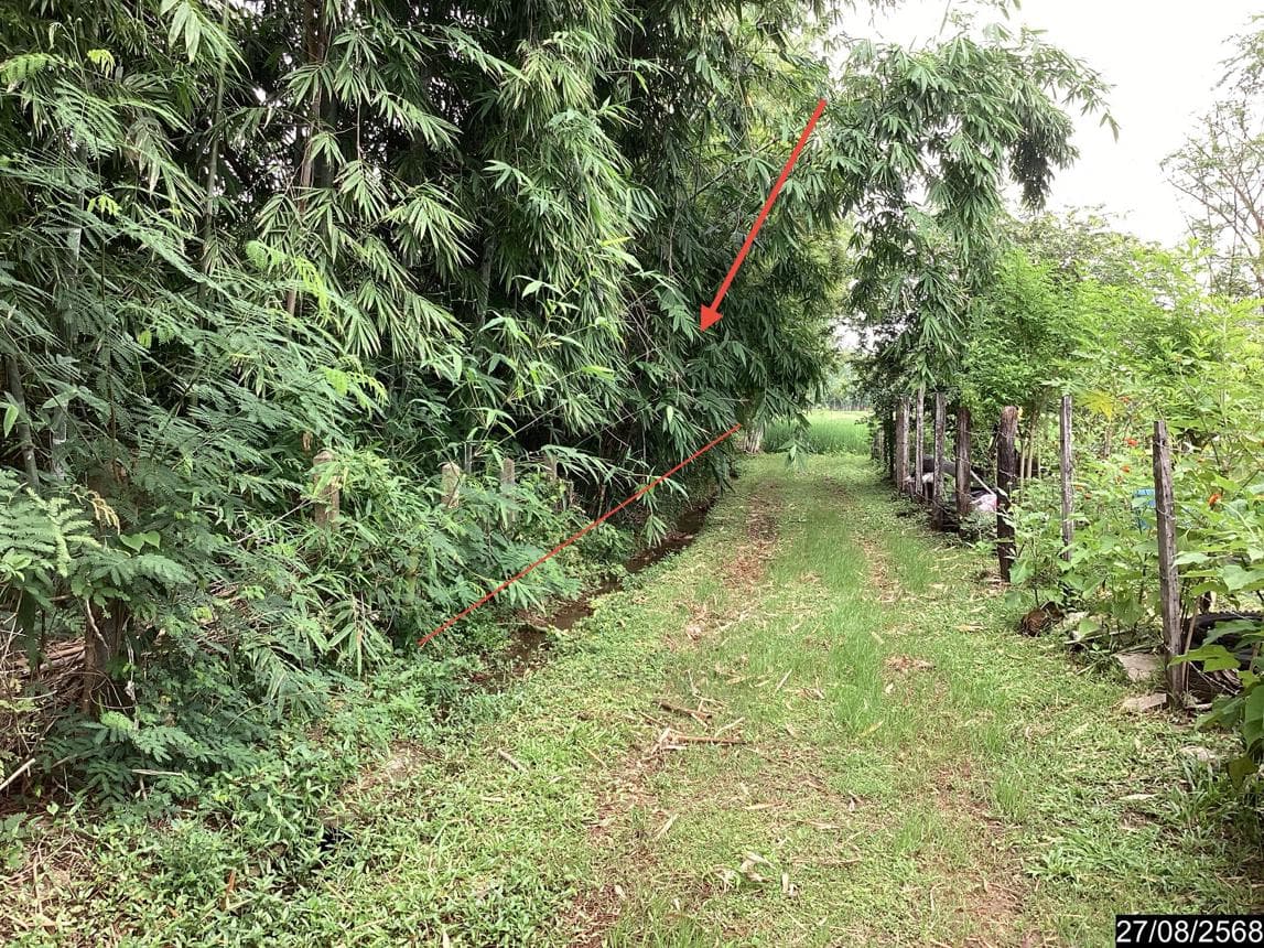 ขายที่ดินเปล่า บ้านธาตุ เพ็ญ อุดรธานี 56.2 ตร.ว. ทำเลสงบ เหมาะสร้างบ้าน ราคาหลักแสน