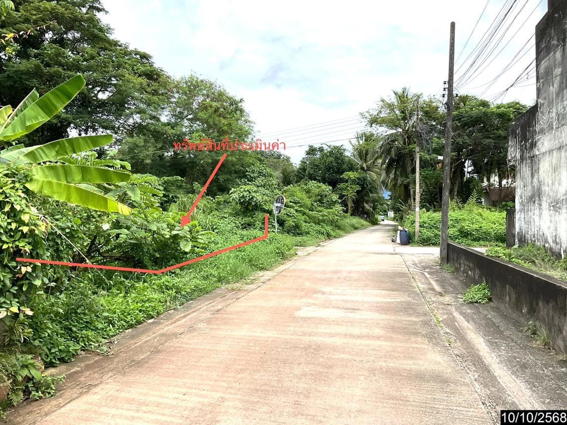 ขายที่ดินเปล่า ทุ่งสง นครศรีธรรมราช เนื้อที่ 25.3 ตร.ว. ทำเลดีใจกลางย่านปากแพรก ราคาไม่ถึงล้าน
