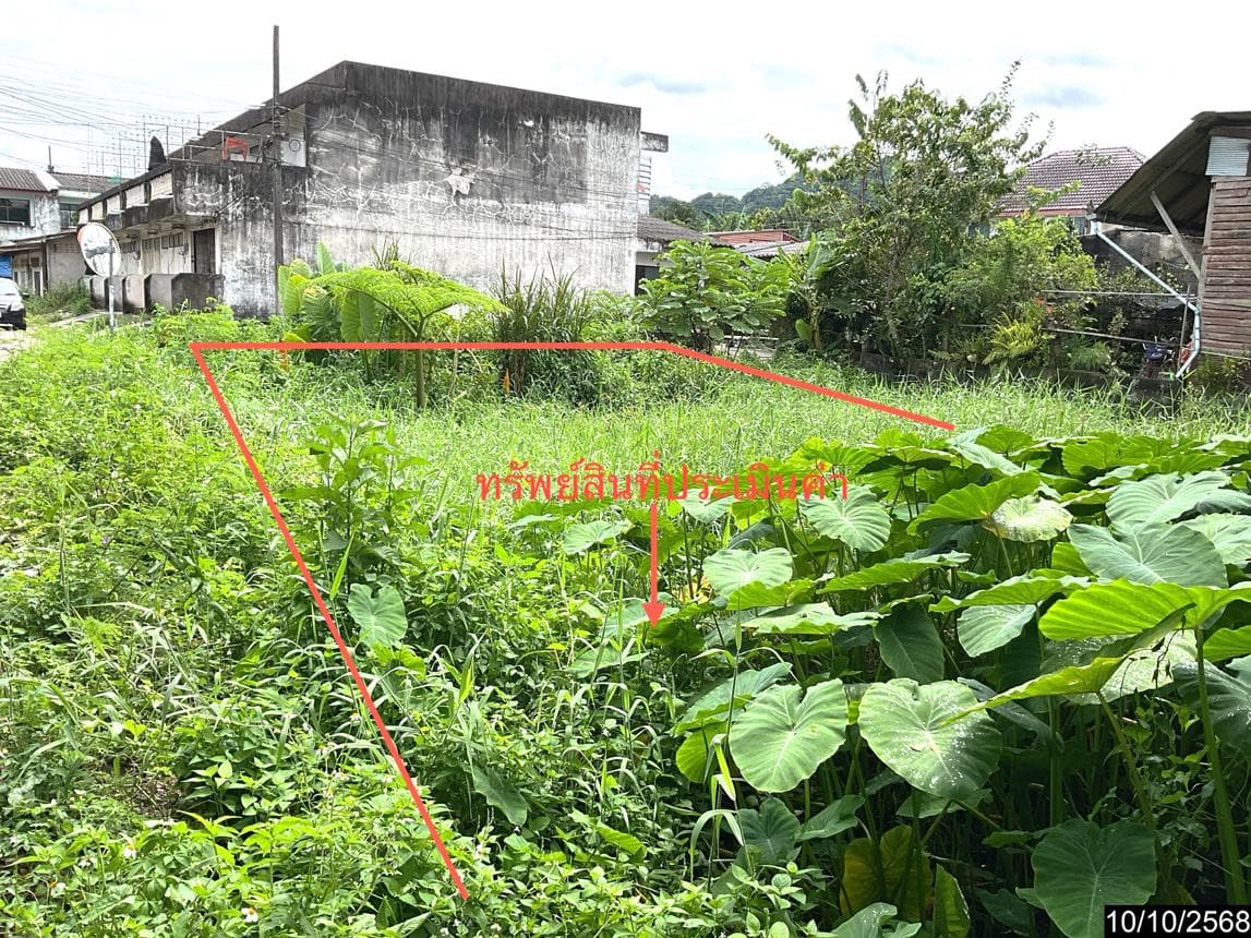 ขายที่ดินเปล่า ทุ่งสง นครศรีธรรมราช เนื้อที่ 25.3 ตร.ว. ทำเลดีใจกลางย่านปากแพรก ราคาไม่ถึงล้าน