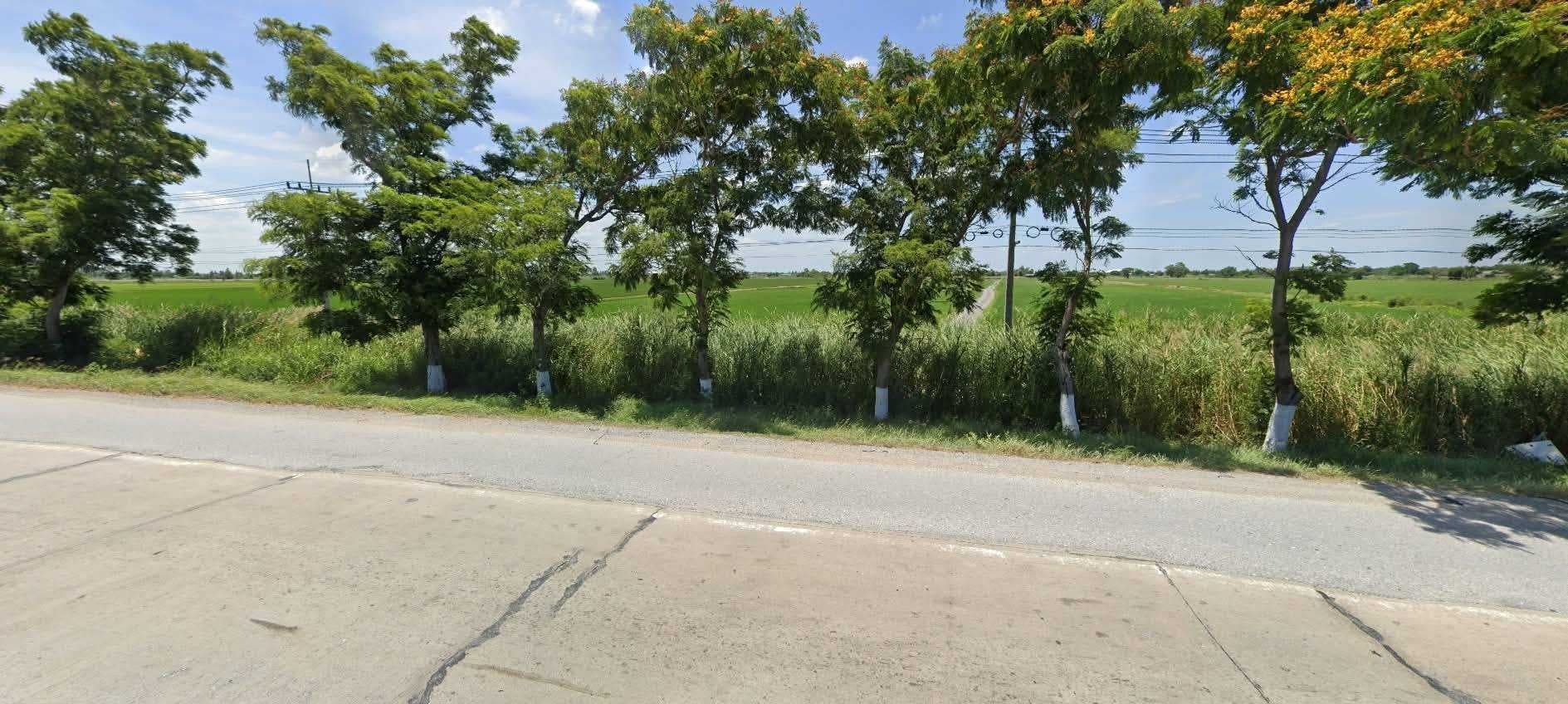 ขาย ที่ดินสีม่วง 76ไร่ ถนน340 บางบัวทอง-สุพรรณบุรี/ บางปลาม้า,สุพรรณบุรี