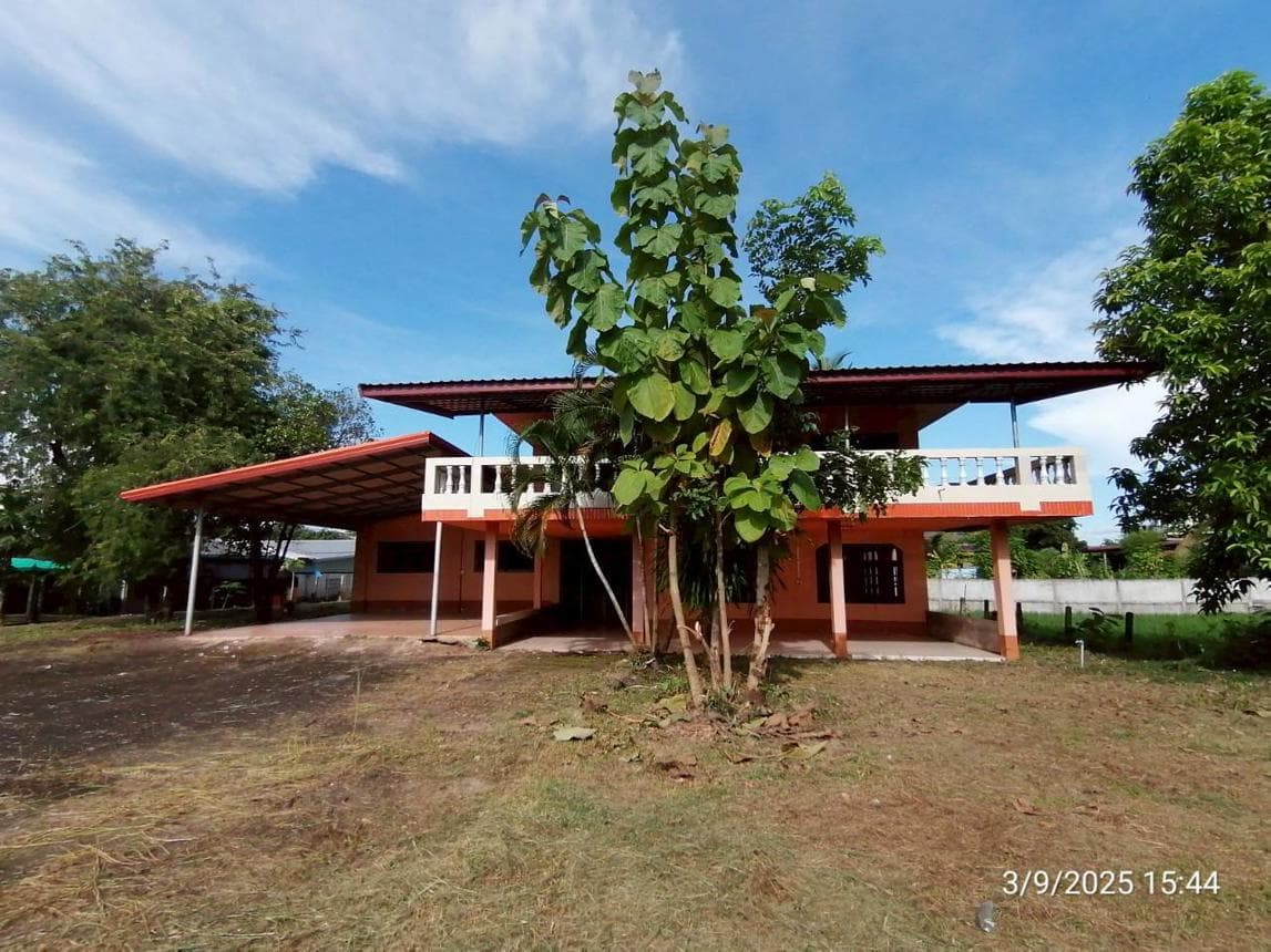 ขายบ้านเดี่ยว นางาม เรณูนคร นครพนม พื้นที่ใช้สอย 560.5 ตร.ม. 6 ห้องน้ำ