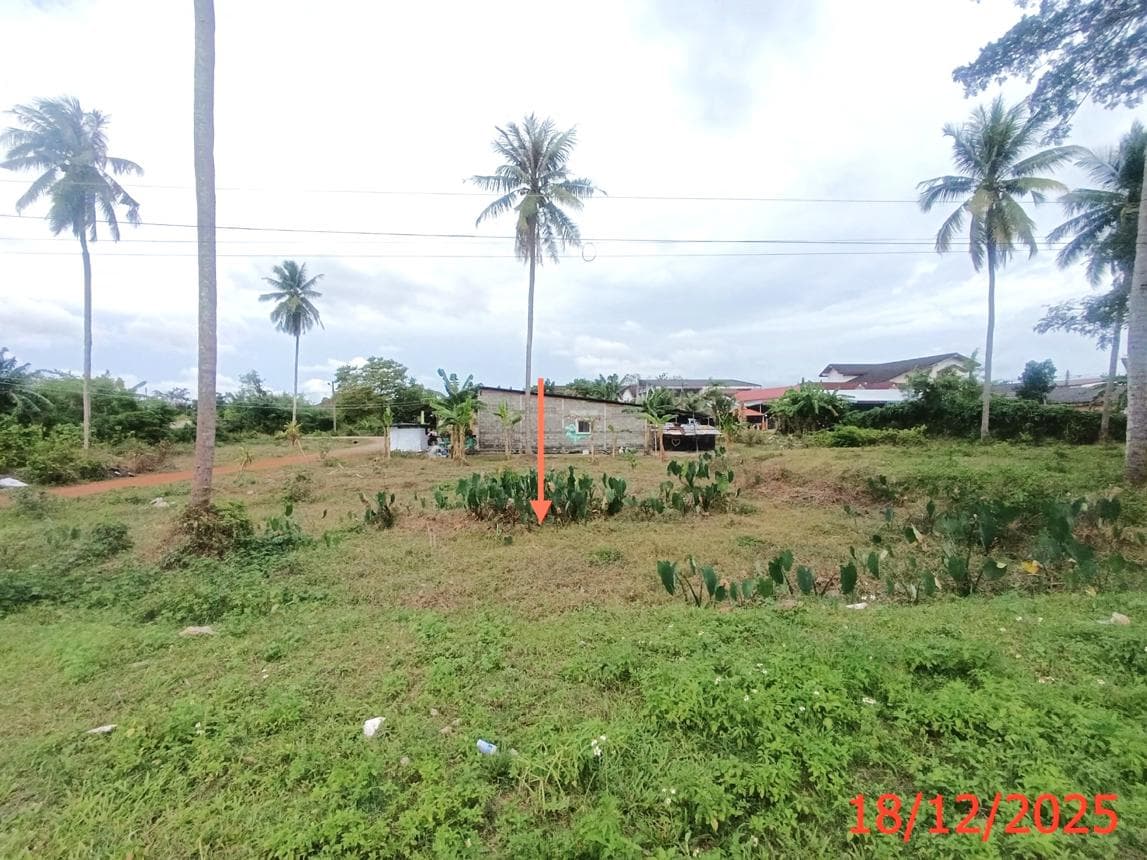 ที่ดินเปล่า 45.6 ตร.ว. ทำเลดี ใกล้ถนนยนตรการกำธร (ทล.406) ตำบลคลองขุด เมืองสตูล