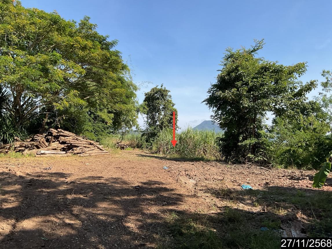 ขายบ้านเดี่ยว 63 ตร.ว. ทำเลหนองผือ ท่าลี่ เลย วิวธรรมชาติหลักล้าน พักผ่อนฮีลใจส่วนตัว ราคา 7.74 ล้าน
