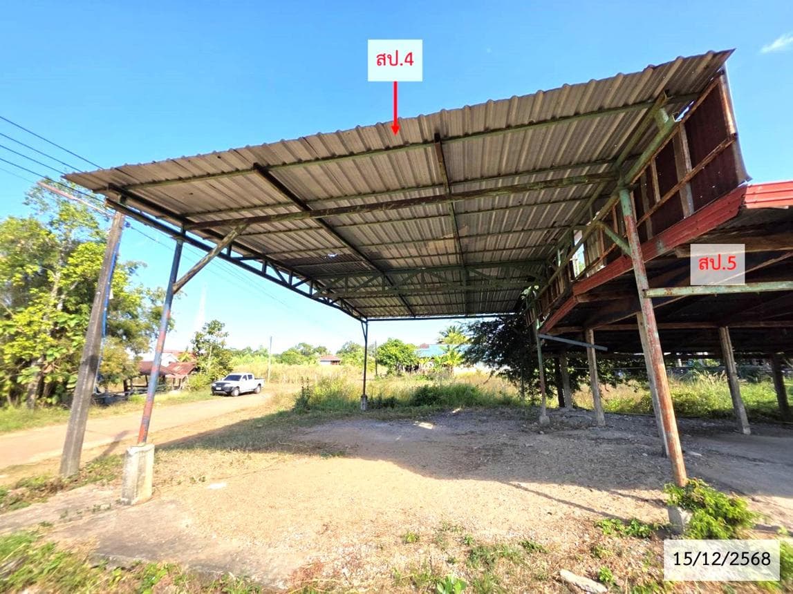 ขายบ้านเดี่ยว บ้านม่วง สกลนคร ทำเลม่วง พื้นที่ใช้สอย 49.5 ตร.ม. 1 ห้องน้ำ สภาพดี พร้อมอยู่