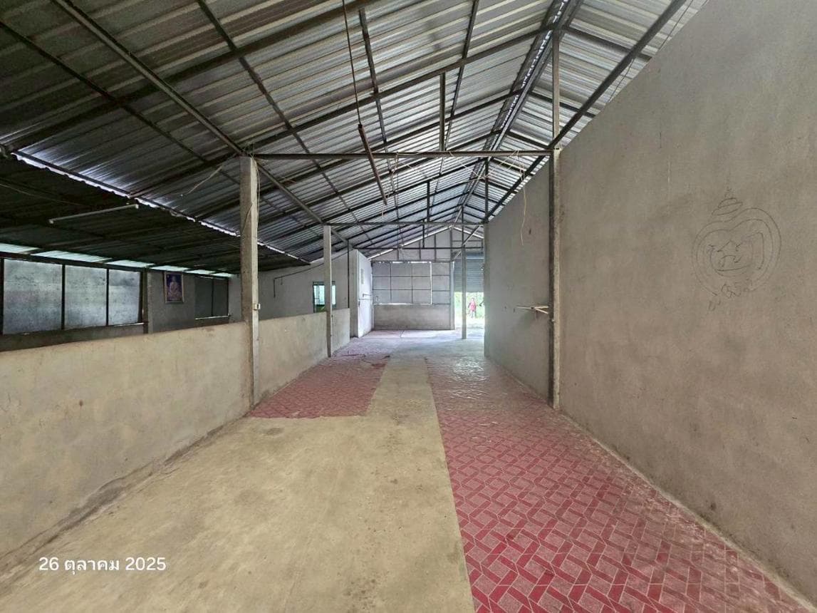 ขายบ้านเดี่ยว พรหมพิราม พิษณุโลก ทำเลทับยายเชียง เนื้อที่ 60.7 ตร.ว. พื้นที่ใช้สอย 282 ตร.ม. 1 ห้องนอน 1 ห้องน้ำ สภาพดี พร้อมอยู่