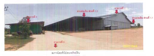 โรงสี ระโนด สงขลา