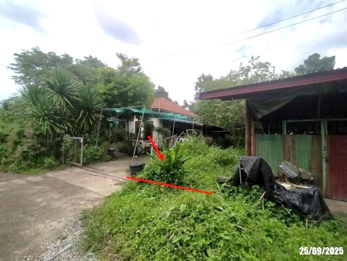บ้านเดี่ยว นาข่า ท่าบ่อ หนองคาย 1 ห้องนอน 1 ห้องน้ำ พื้นที่ 102 ตร.ม. บนที่ดิน 24 ตร.ว. ทำเลสงบเป็นส่วนตัว ราคาพิเศษ 9.4 แสน