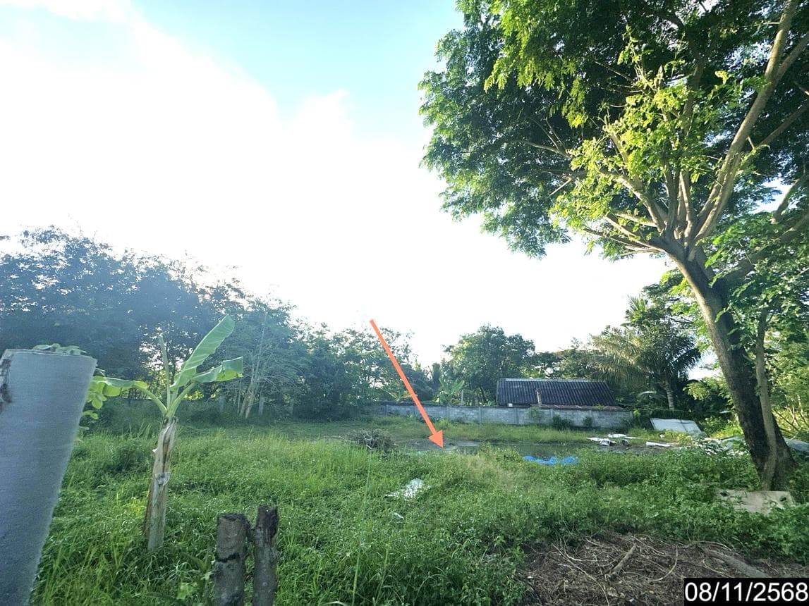 ที่ดินว่างเปล่า ม่วงสามสิบ อุบลราชธานี ขนาด 73.5 ตร.ว. ทำเลดีใกล้แหล่งชุมชน เหมาะสำหรับสร้างบ้านหรือลงทุน