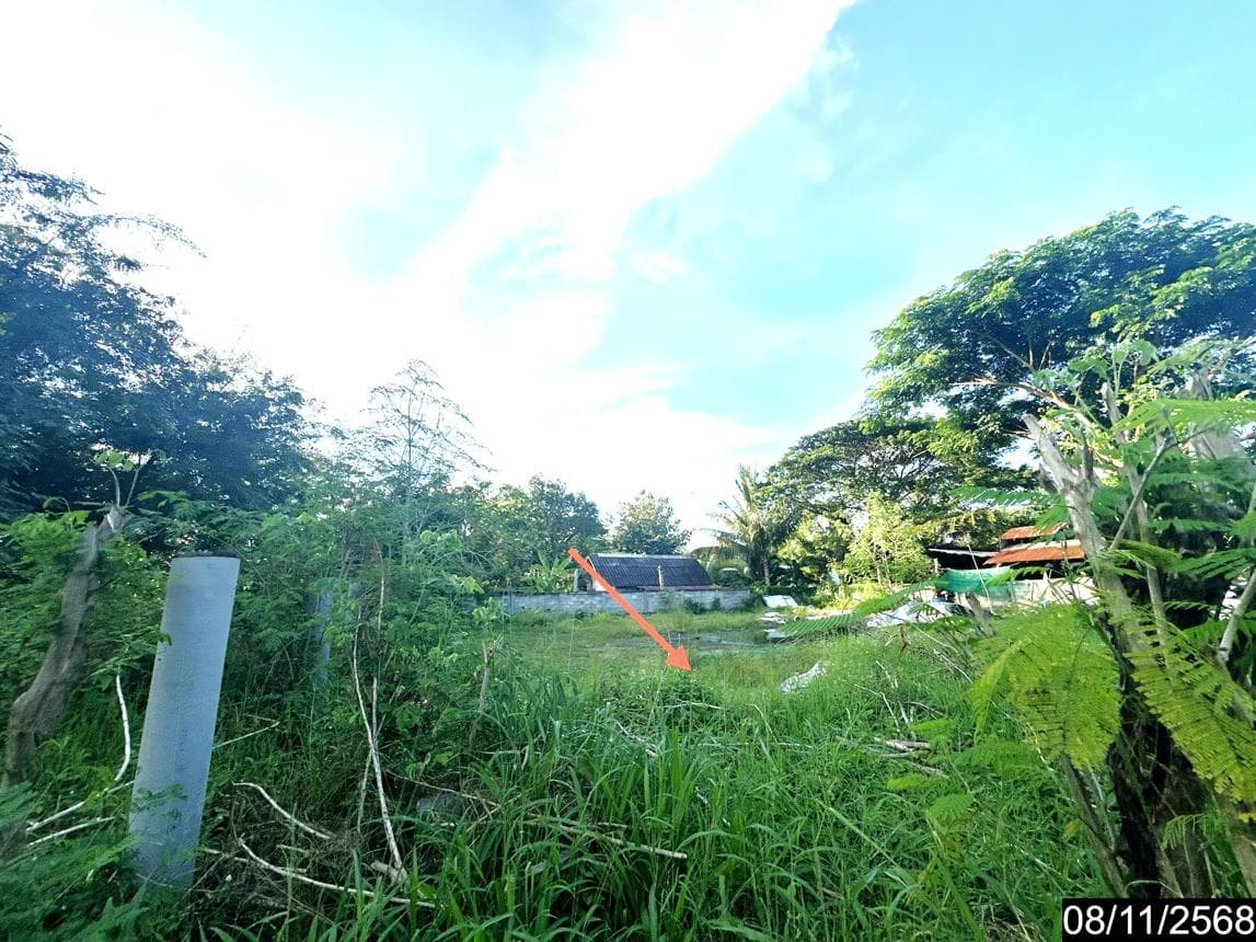 ที่ดินว่างเปล่า ม่วงสามสิบ อุบลราชธานี ขนาด 73.5 ตร.ว. ทำเลดีใกล้แหล่งชุมชน เหมาะสำหรับสร้างบ้านหรือลงทุน