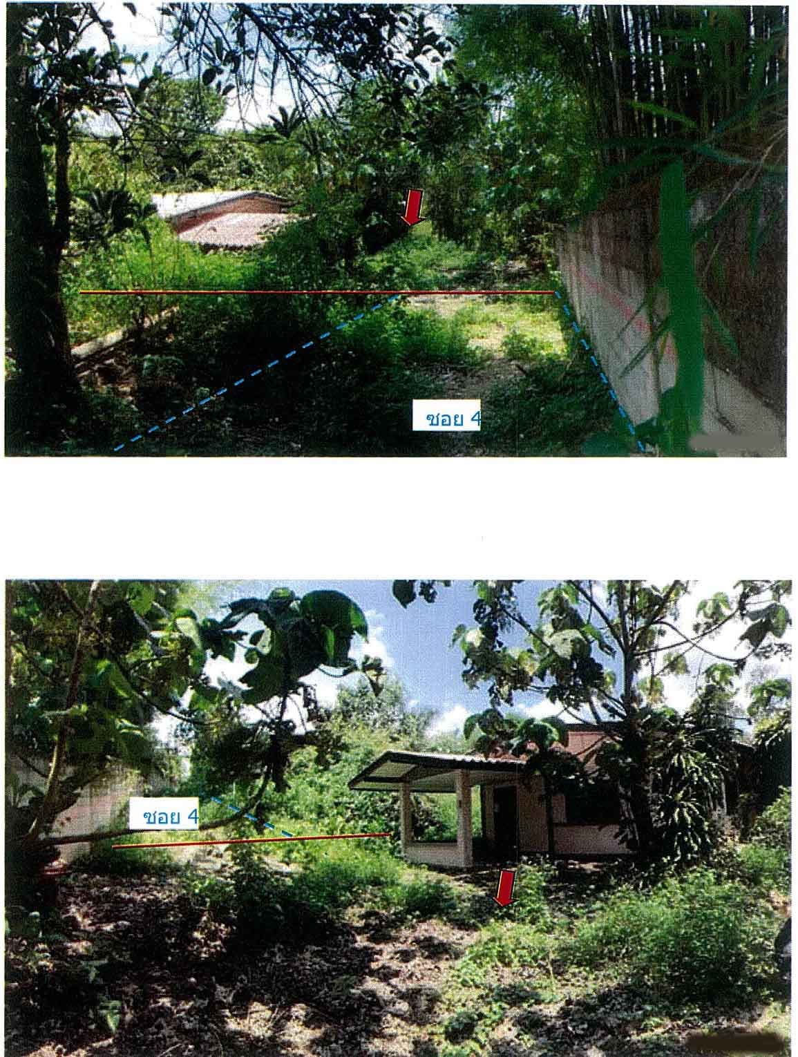 บ้านเดี่ยว ฝาง เชียงใหม่