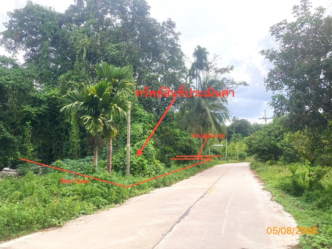 ขายที่ดินเปล่า นาใต้ บ้านนาเดิม สุราษฎร์ธานี 21.8 ตร.ว. ทำเลดี ราคาหลักแสน เหมาะสร้างบ้านพักส่วนตัวหรือคาเฟ่เล็กๆ