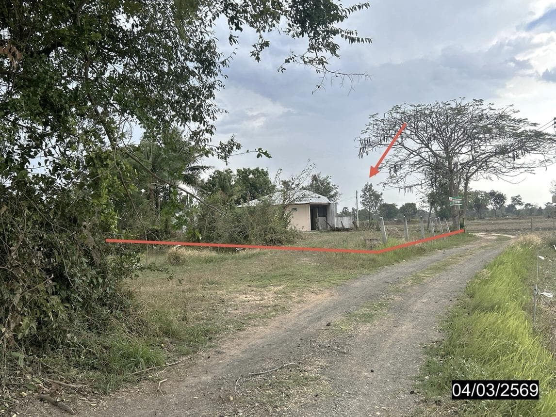 บ้านเดี่ยว 1 ห้องนอน พื้นที่ 31.5 ตร.ม. ทำเลศักยภาพ โพนข่า เมืองศรีสะเกษ ศรีสะเกษ