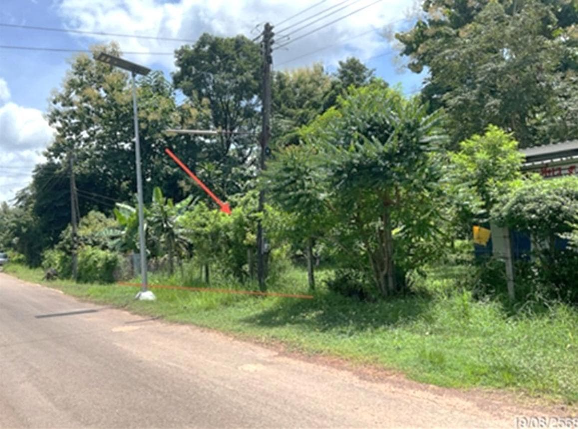 ที่ดินทำเลทอง นาถ่อน ธาตุพนม นครพนม บรรยากาศเงียบสงบ เหมาะสร้างบ้านและลงทุน