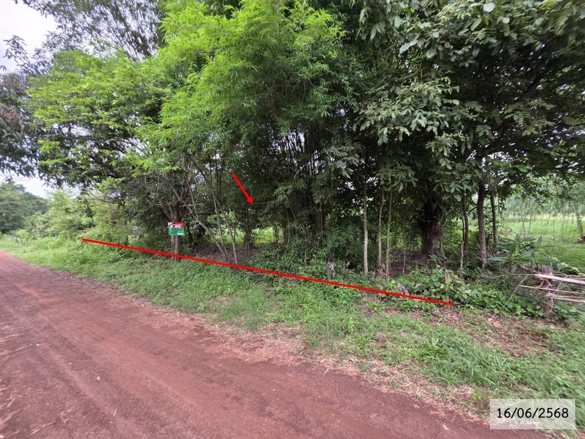 ขายที่ดิน ปลาโหล วาริชภูมิ สกลนคร พื้นที่ 52 ตร.ว.