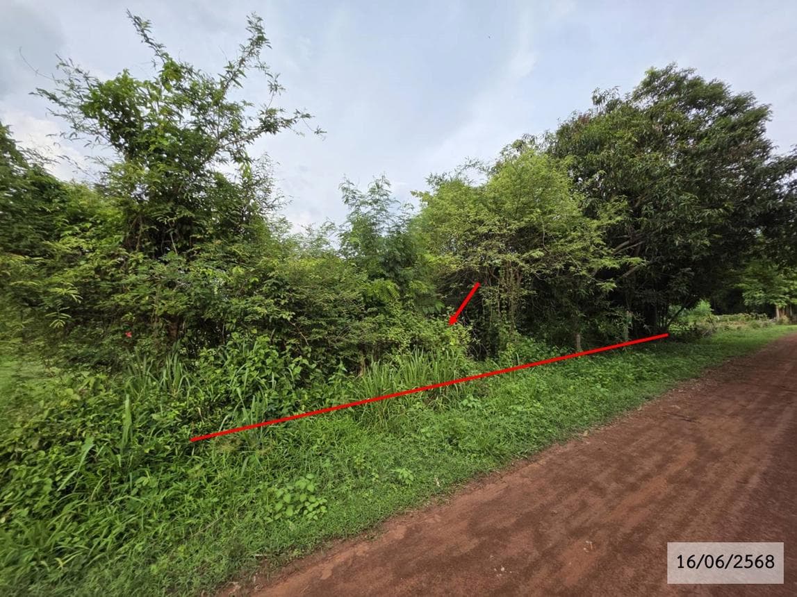 ขายที่ดิน ปลาโหล วาริชภูมิ สกลนคร พื้นที่ 52 ตร.ว.