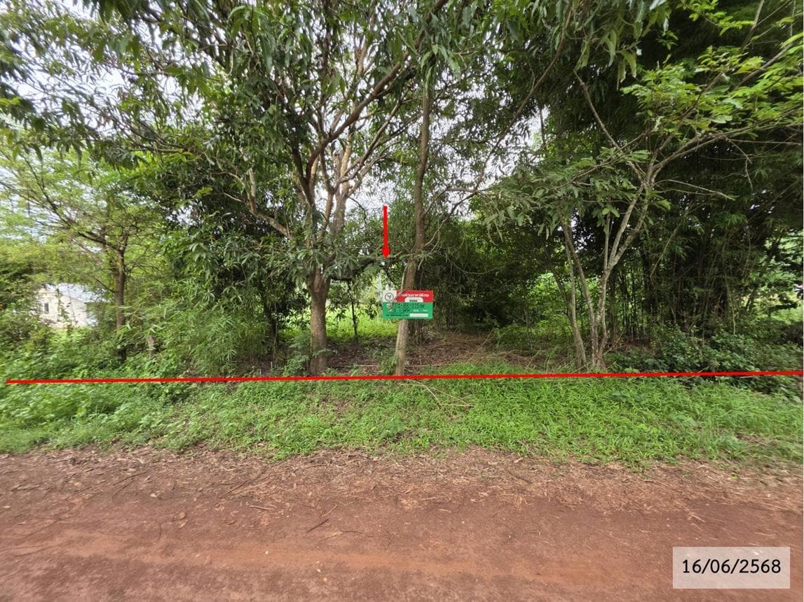 ขายที่ดิน ปลาโหล วาริชภูมิ สกลนคร พื้นที่ 52 ตร.ว.