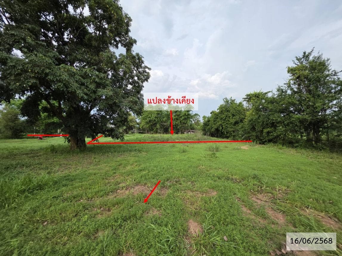 ขายที่ดิน ปลาโหล วาริชภูมิ สกลนคร พื้นที่ 52 ตร.ว.