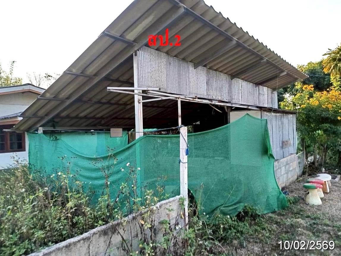ขายบ้านเดี่ยวชั้นเดียว พื้นที่ 54 ตร.ว. อ.พร้าว จ.เชียงใหม่ 2 ห้องนอน 2 ห้องน้ำ บรรยากาศดี ใกล้ชิดธรรมชาติ ราคาล้านต้นๆ