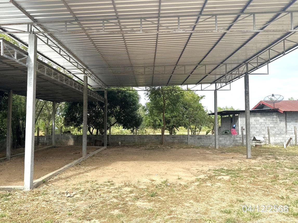 ที่ดินพร้อมสิ่งปลูกสร้าง ไร่สีสุก เสนางคนิคม อำนาจเจริญ พื้นที่ใช้สอย 110 ตร.ม. ทำเลดี บรรยากาศเงียบสงบ ราคาล้านต้นๆ