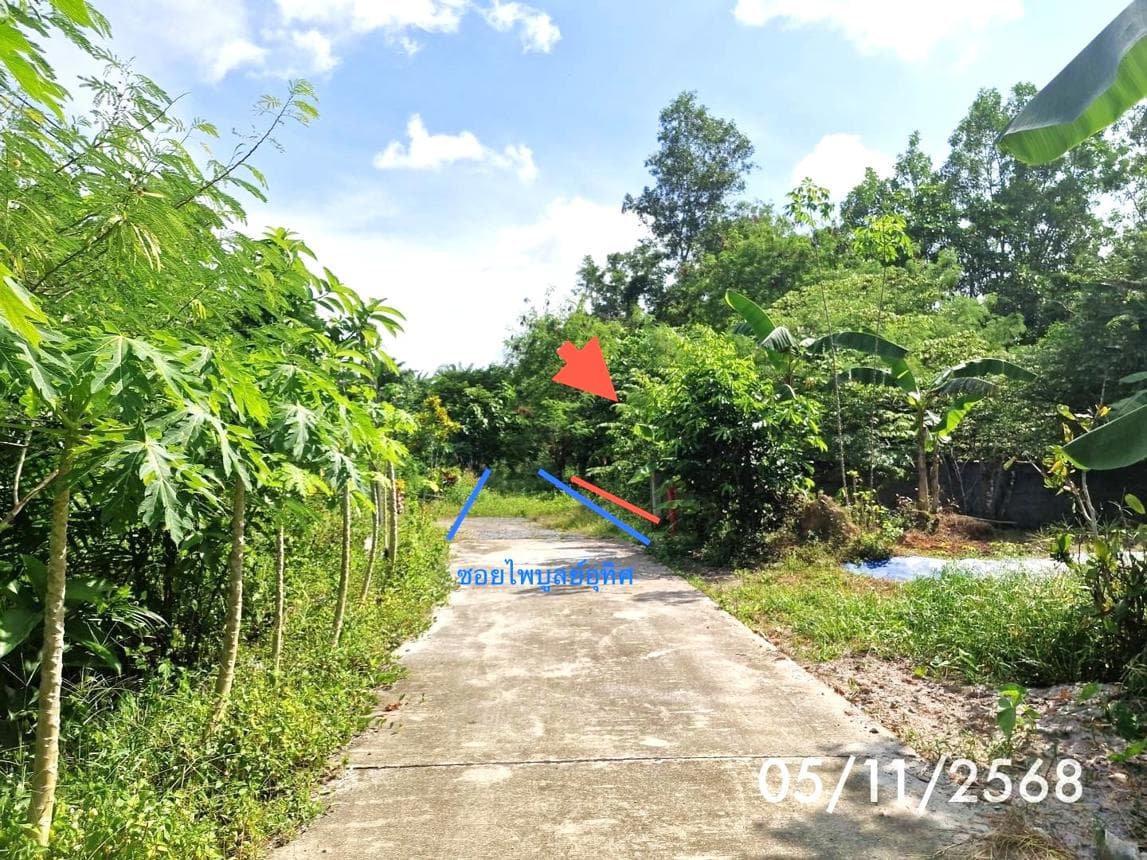 ขายที่ดินเปล่า ชะอวด นครศรีธรรมราช 47.4 ตร.ว. ทำเลศักยภาพ เหมาะสร้างบ้านและลงทุน