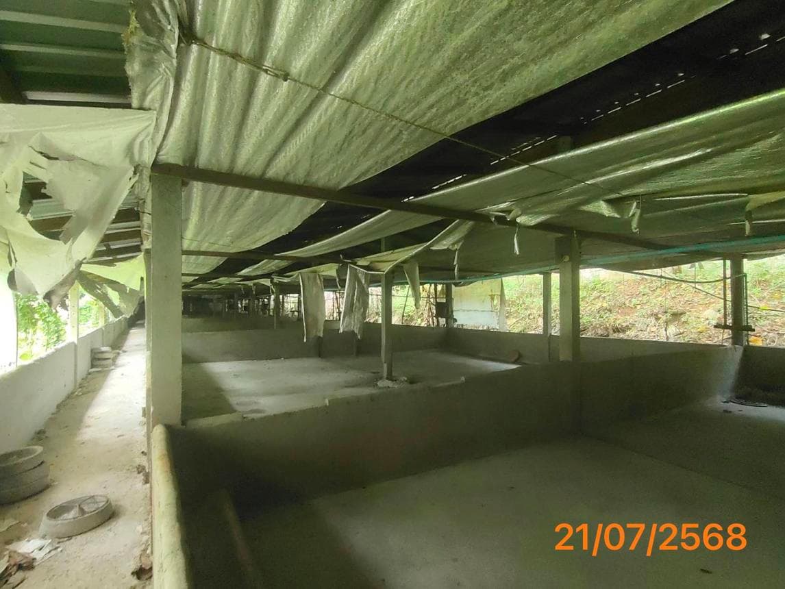 บ้านเดี่ยว กระโสม ตะกั่วทุ่ง พังงา ทำเลศักยภาพ บรรยากาศเป็นส่วนตัว