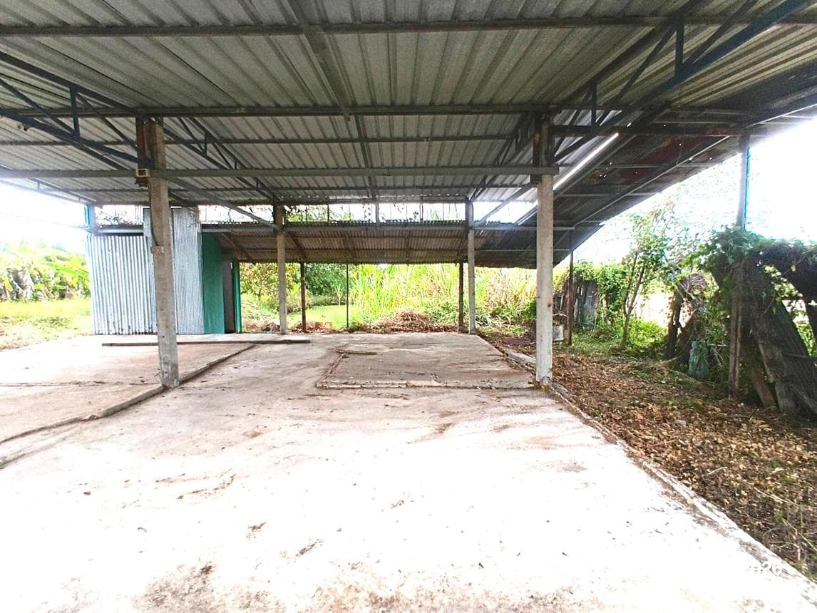 ขายบ้านเดี่ยว ริมปิง เมืองลำพูน 1 ห้องนอน พื้นที่ใช้สอย 91 ตร.ม. ทำเลสงบ บรรยากาศดี ราคา 3.2 ล้าน