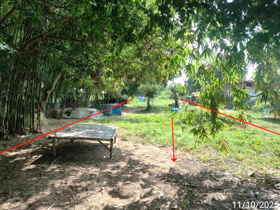 ขายที่ดินเปล่า แวงน่าง เมืองมหาสารคาม เนื้อที่ 88 ตร.ว. ทำเลสงบ บรรยากาศดี เหมาะสำหรับสร้างบ้านพักอาศัย