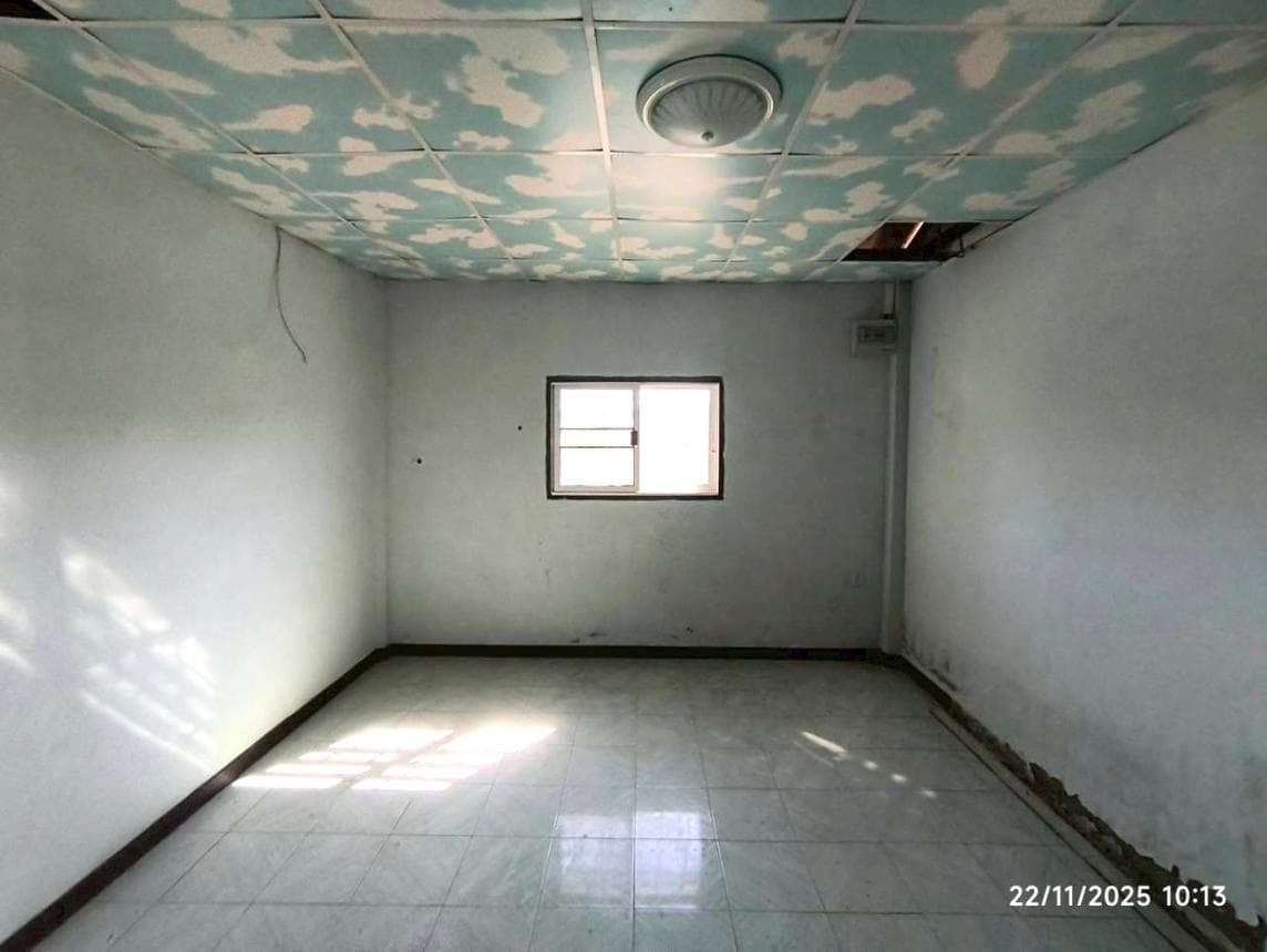 ขายบ้านเดี่ยว เวียงชัย เวียงชัย เชียงราย พื้นที่ 210 ตร.ม. 2 ห้องนอน 1 ห้องน้ำ