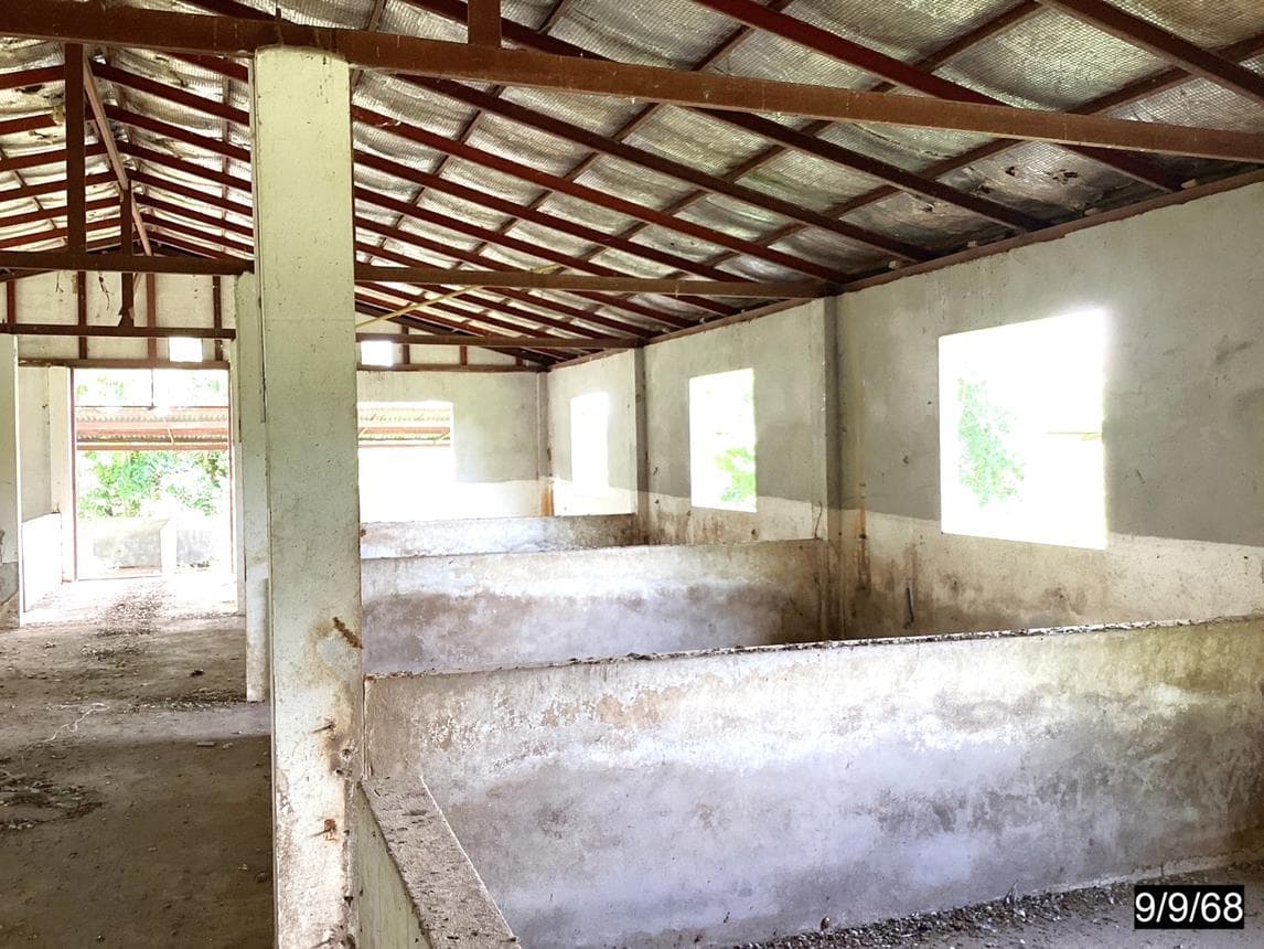 บ้านเดี่ยวทำเลศักยภาพ กวางโจน ภูเขียว ชัยภูมิ พื้นที่ใช้สอย 75 ตร.ม.