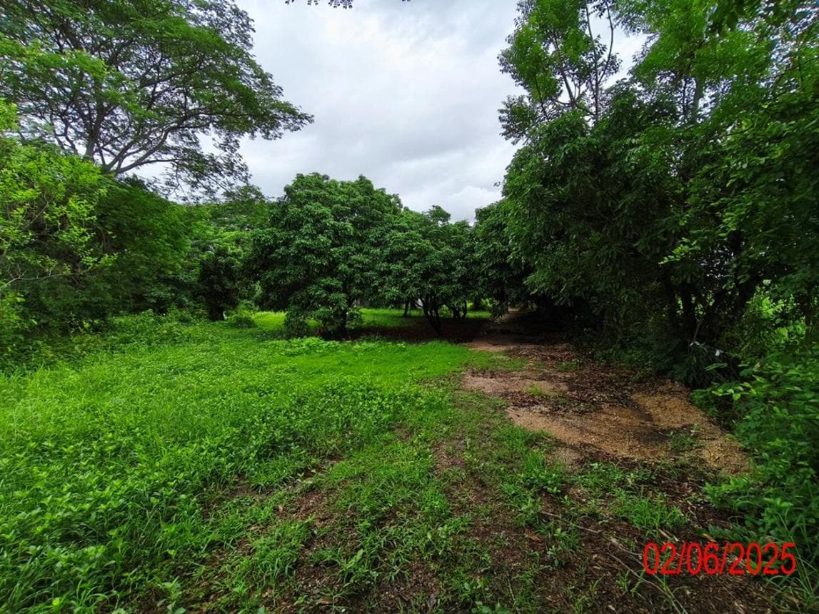 บ้านเดี่ยว พื้นที่ 24.5 ตร.ม. ทำเลศักยภาพ พิชัย เมืองลำปาง ลำปาง
