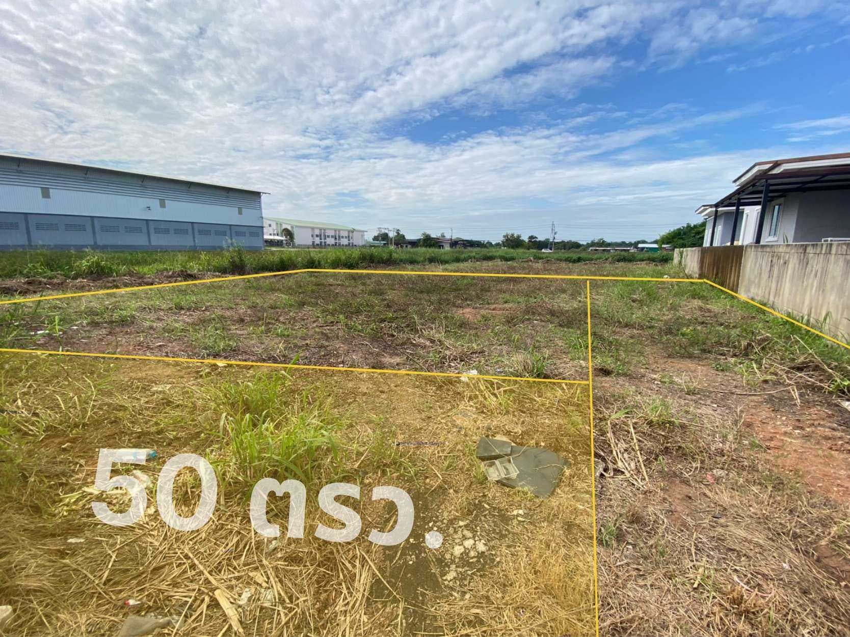 ที่ดินแปลงสวย 50 ตรว. ใกล้ ม.พิบูล