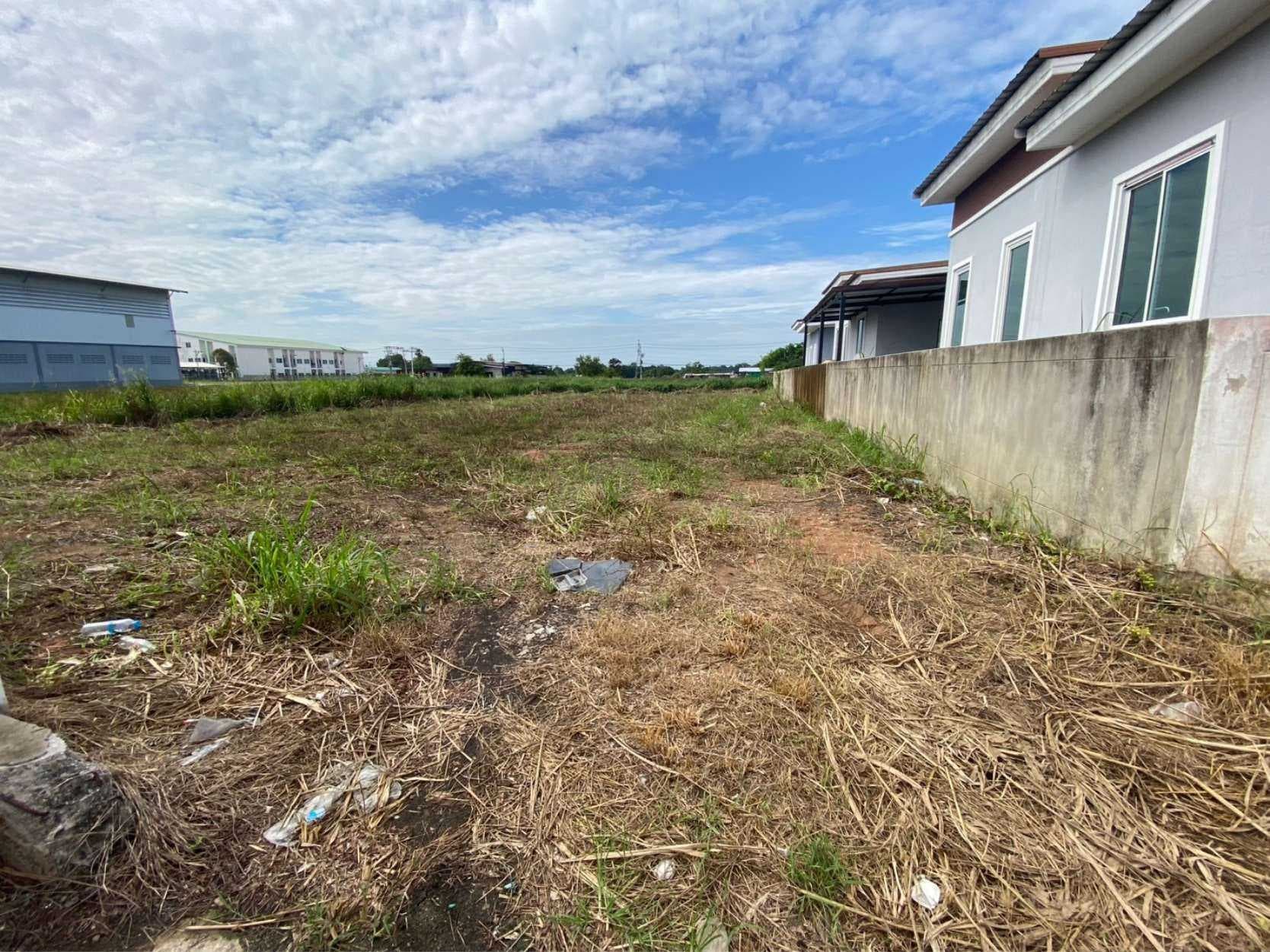 ที่ดินแปลงสวย 50 ตรว. ใกล้ ม.พิบูล