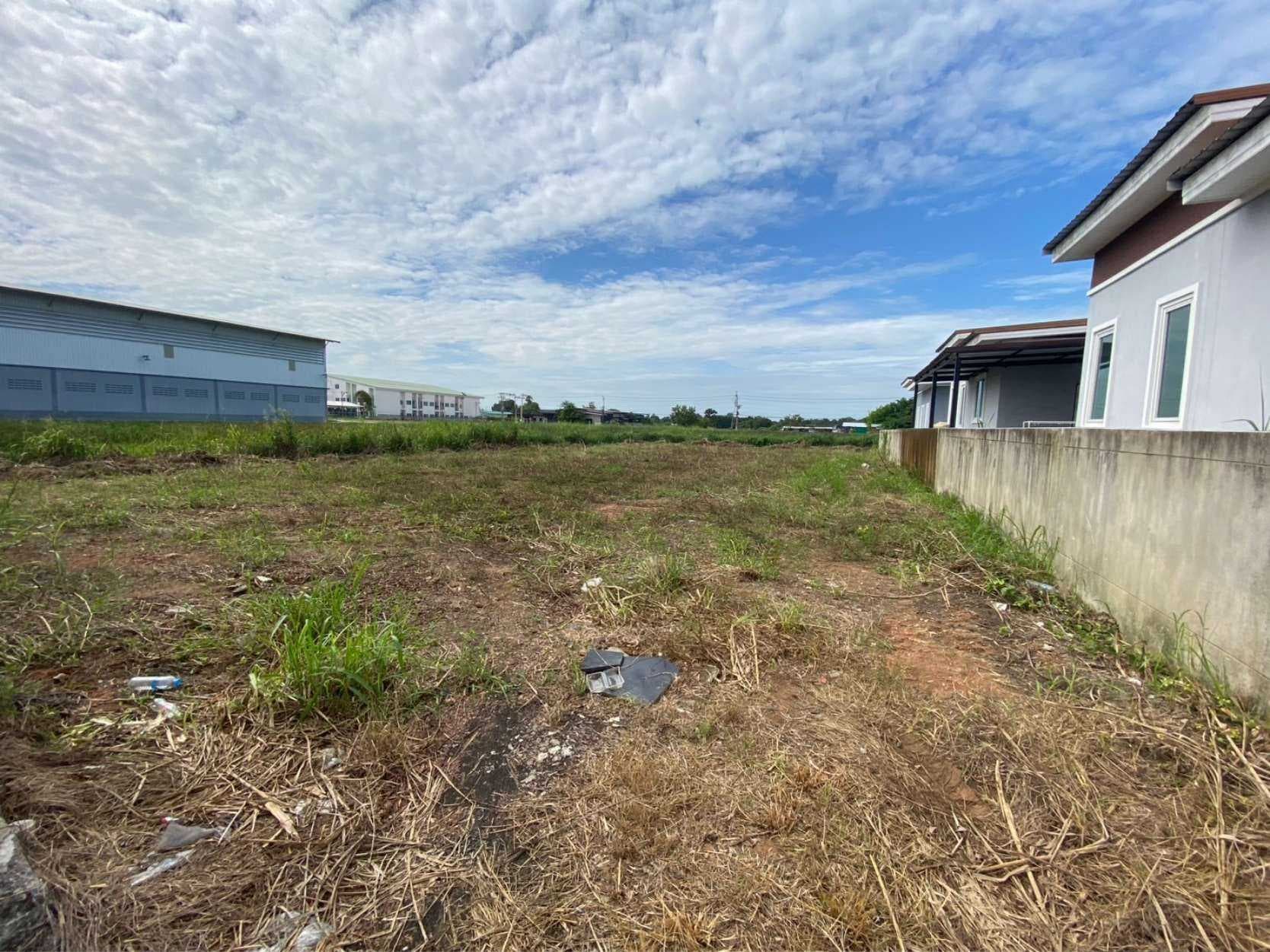 ที่ดินแปลงสวย 50 ตรว. ใกล้ ม.พิบูล