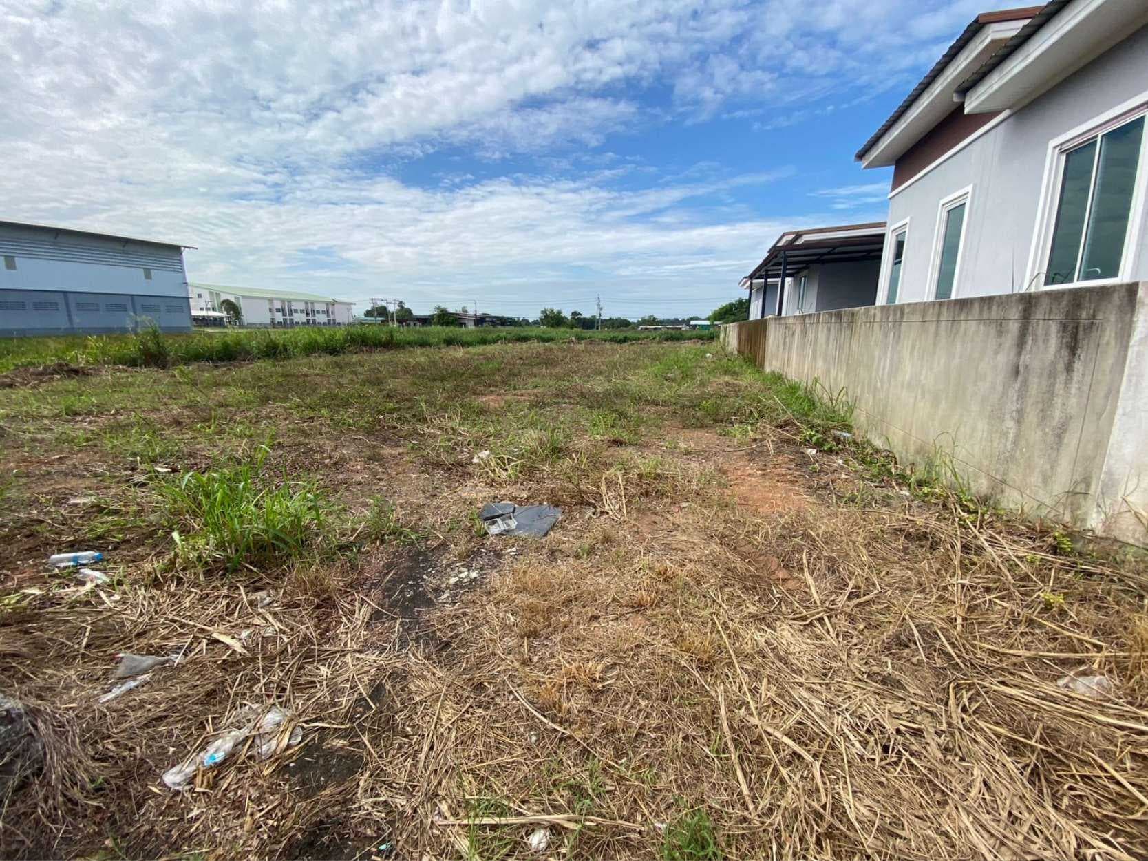 ที่ดินแปลงสวย 50 ตรว. ใกล้ ม.พิบูล