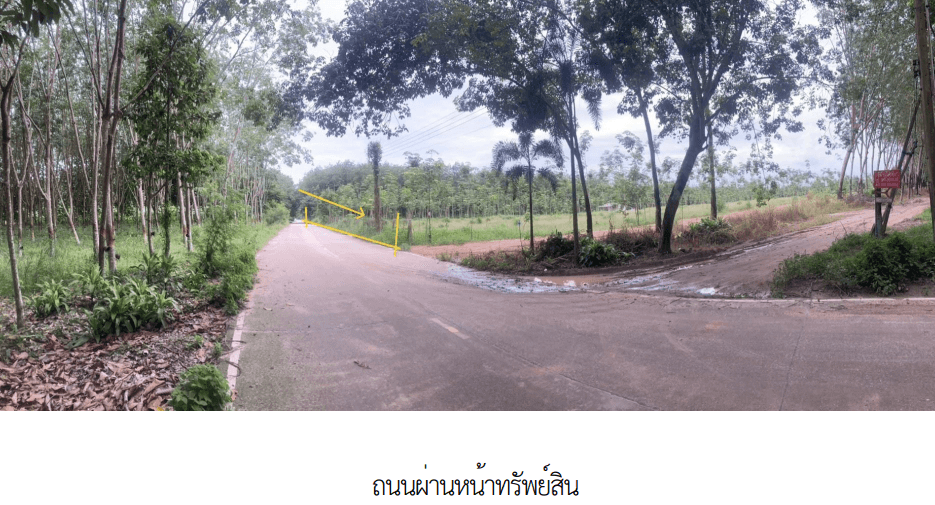 ที่ดินว่างเปล่า บ้านค่าย ระยอง