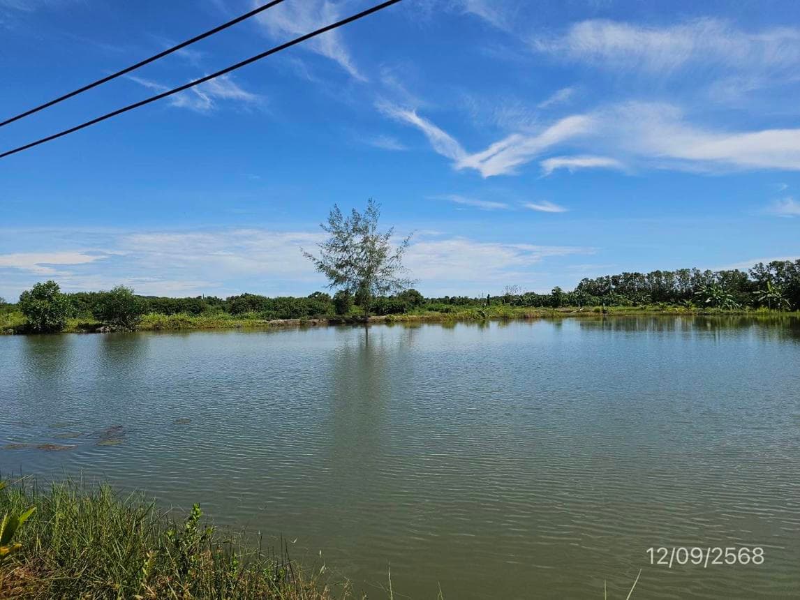 เพิงอเนกประสงค์ 1 ห้องนอน พื้นที่ 195.2 ตร.ม. ทำเลศักยภาพ ตะกาดเง้า ท่าใหม่ จันทบุรี