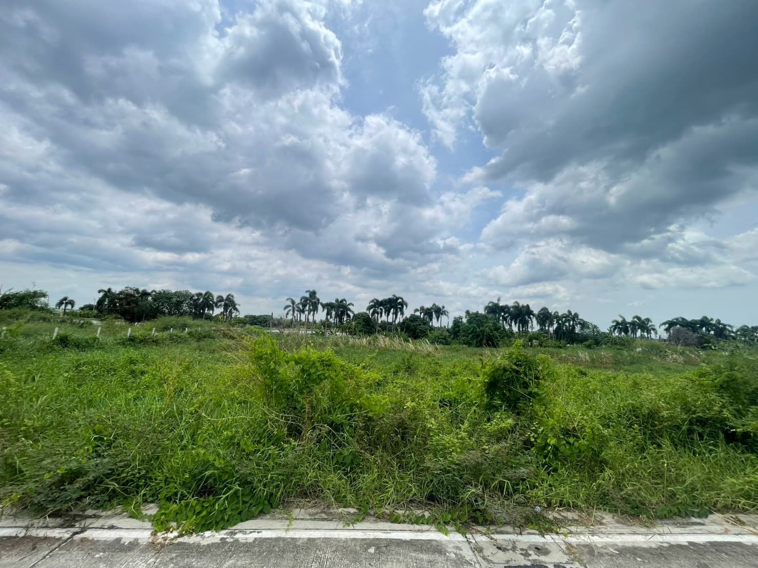 ขายที่ดินถมแล้วพร้อมสร้าง! 409 ตร.ว. ทำเลดี บางนา-ตราด ใกล้สุวรรณภูมิ
