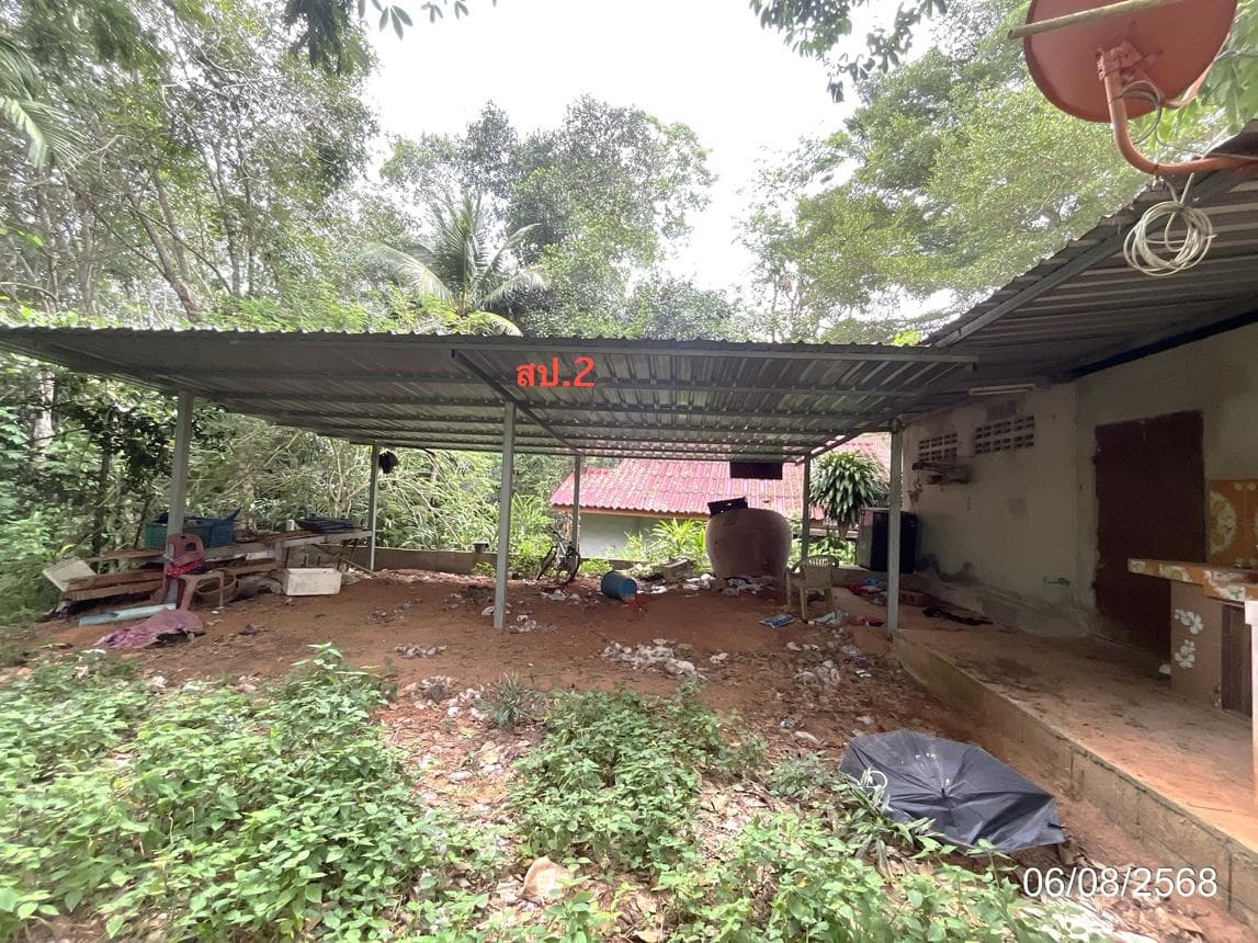 ขายบ้านเดี่ยว บางมะเดื่อ พุนพิน สุราษฎร์ธานี 2 ห้องนอน พื้นที่ 148 ตร.ม. ทำเลดี ราคาล้านต้นๆ