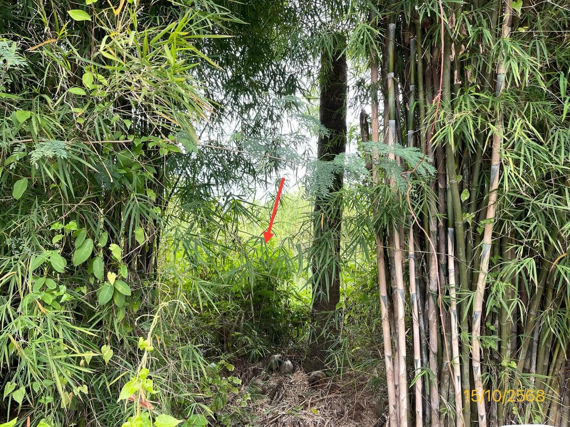 ขายที่ดินว่างเปล่า จอมบึง ราชบุรี แปลงใหญ่ 61.1 ไร่ ทำเลดี เหมาะลงทุนหรือทำเกษตร ราคา 5.04 ล้าน