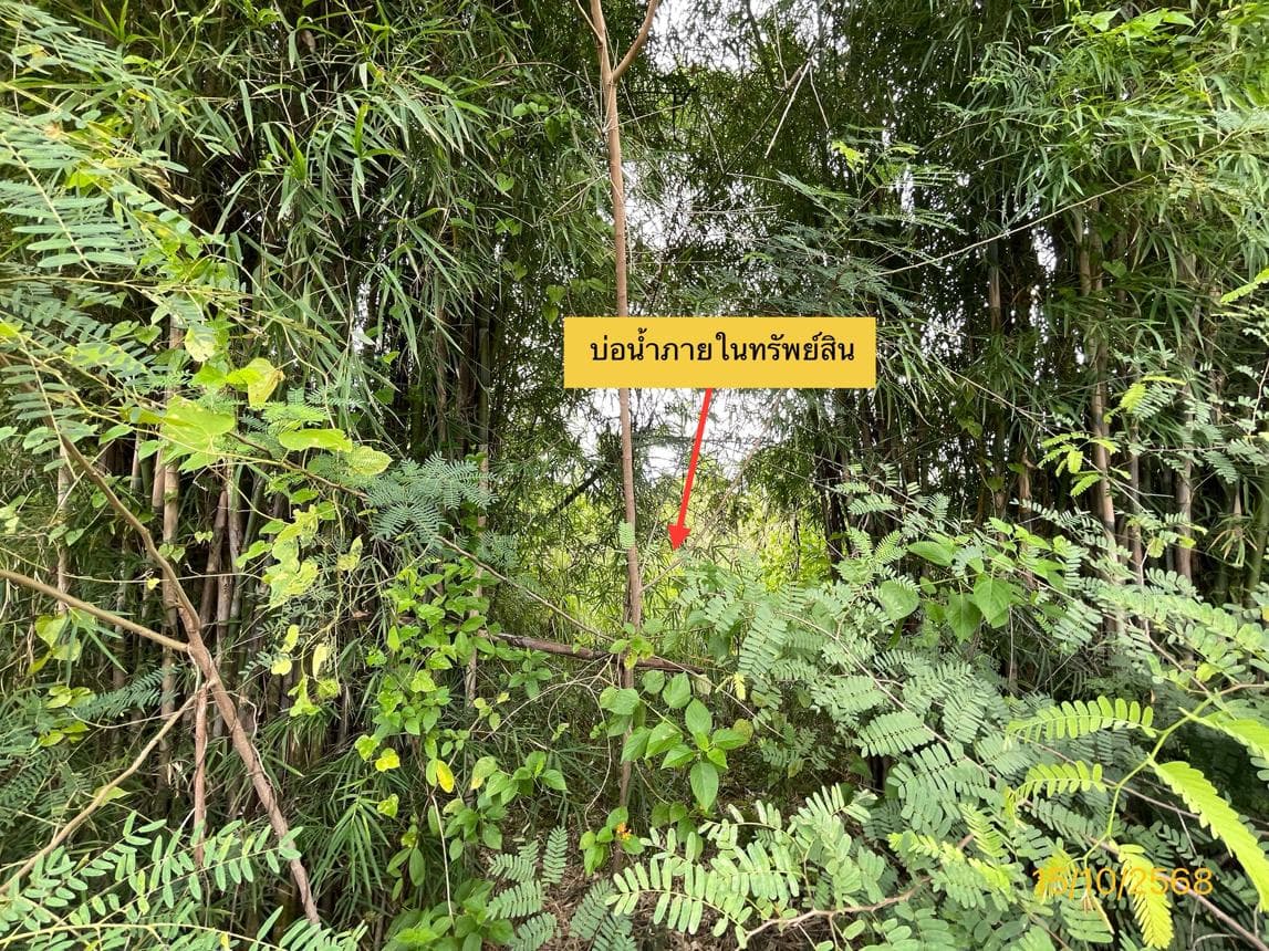 ขายที่ดินว่างเปล่า จอมบึง ราชบุรี แปลงใหญ่ 61.1 ไร่ ทำเลดี เหมาะลงทุนหรือทำเกษตร ราคา 5.04 ล้าน